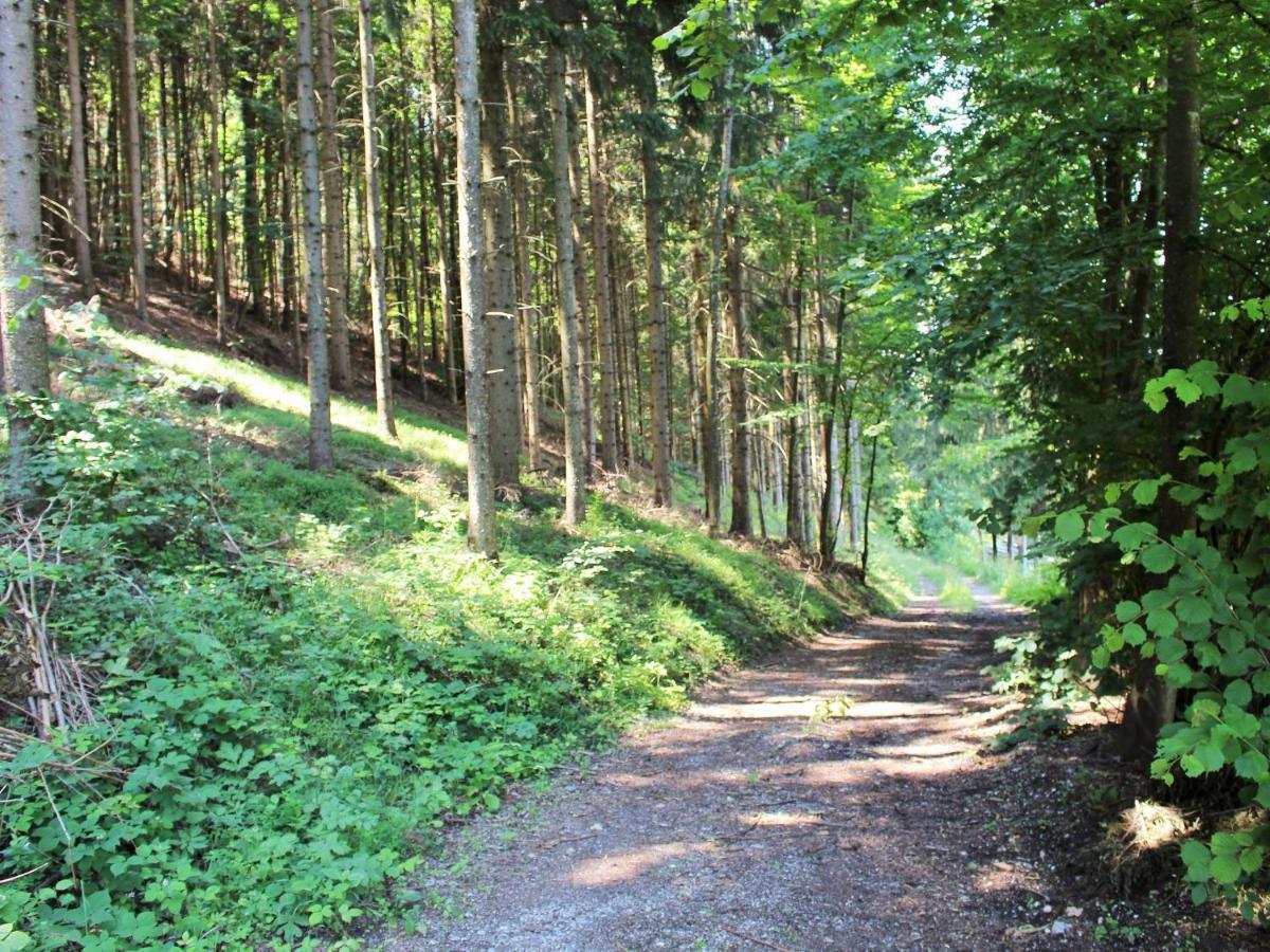 Apartment In Koettmannsdorf Near Bathing Lake Wurdach エクステリア 写真