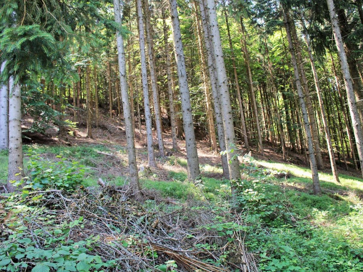 Apartment In Koettmannsdorf Near Bathing Lake Wurdach エクステリア 写真